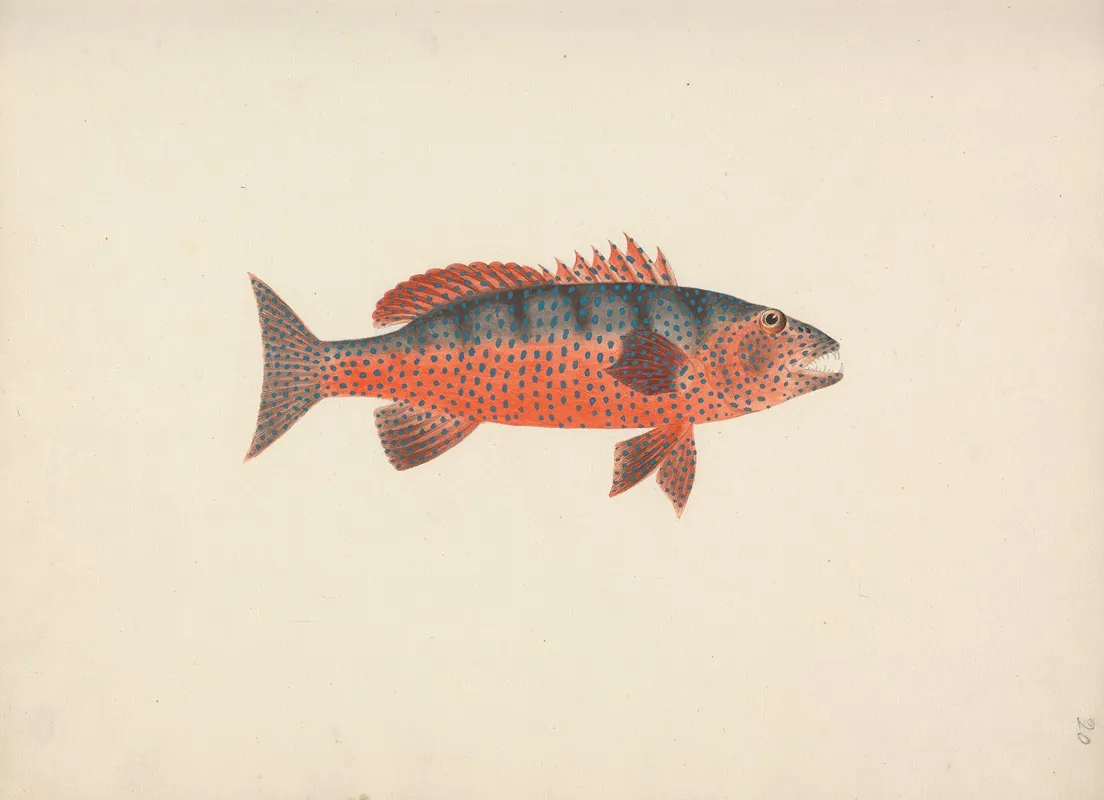 Unidentified Fish 30