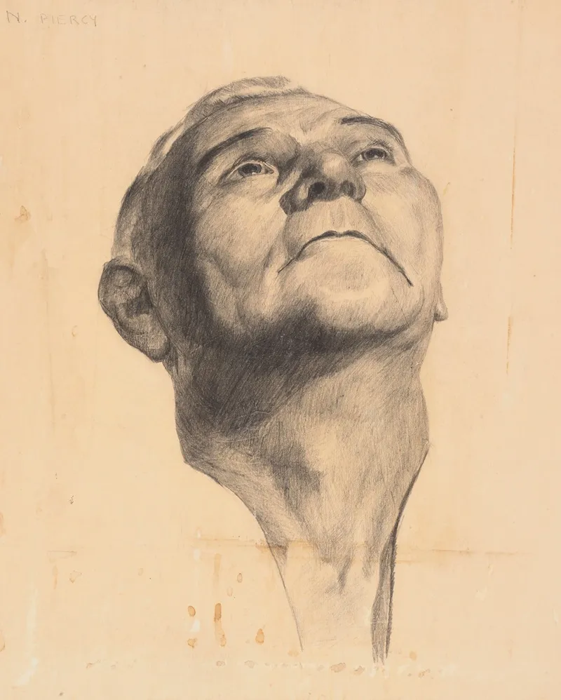 Untitled Head Of A Man Looking Upwards
