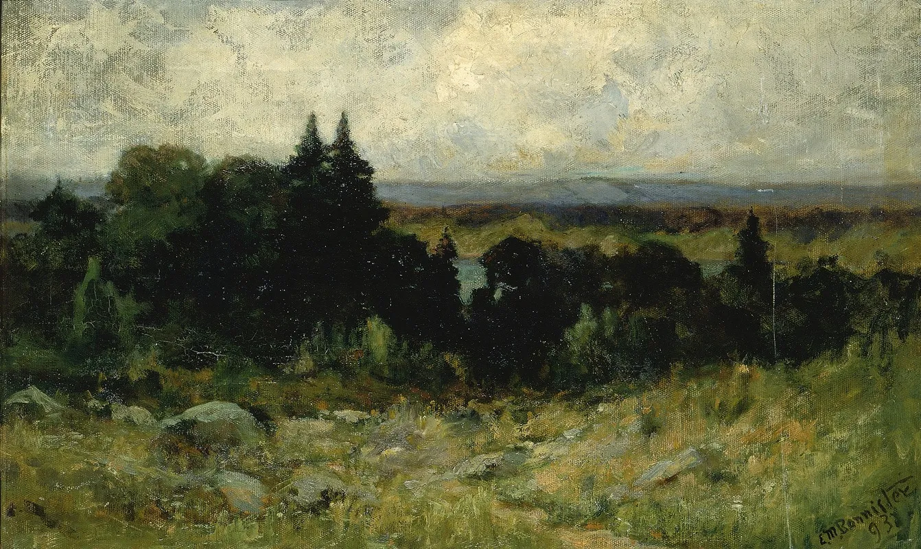 Untitled Landscape Fields With Rocks And Trees