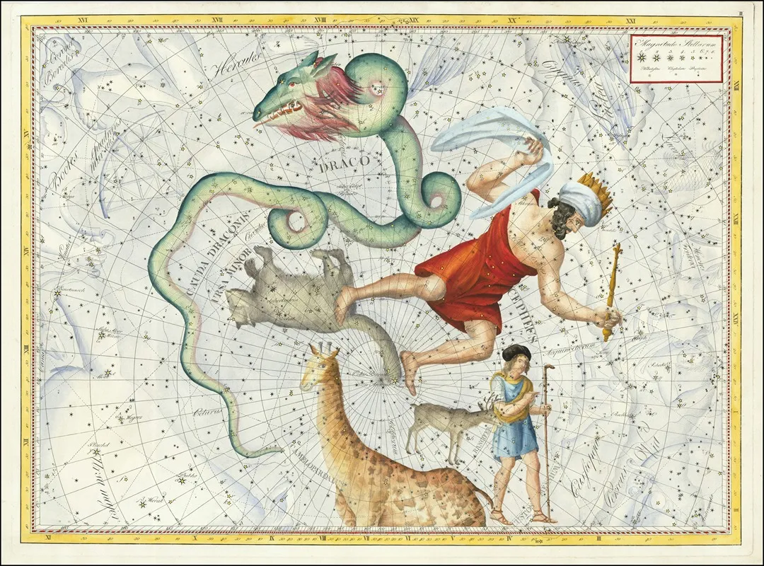 Ursa Minor Draco Cepheus Coelum Stellatum Wall Art by Johann Elert Bode - High-Resolution Digital Print