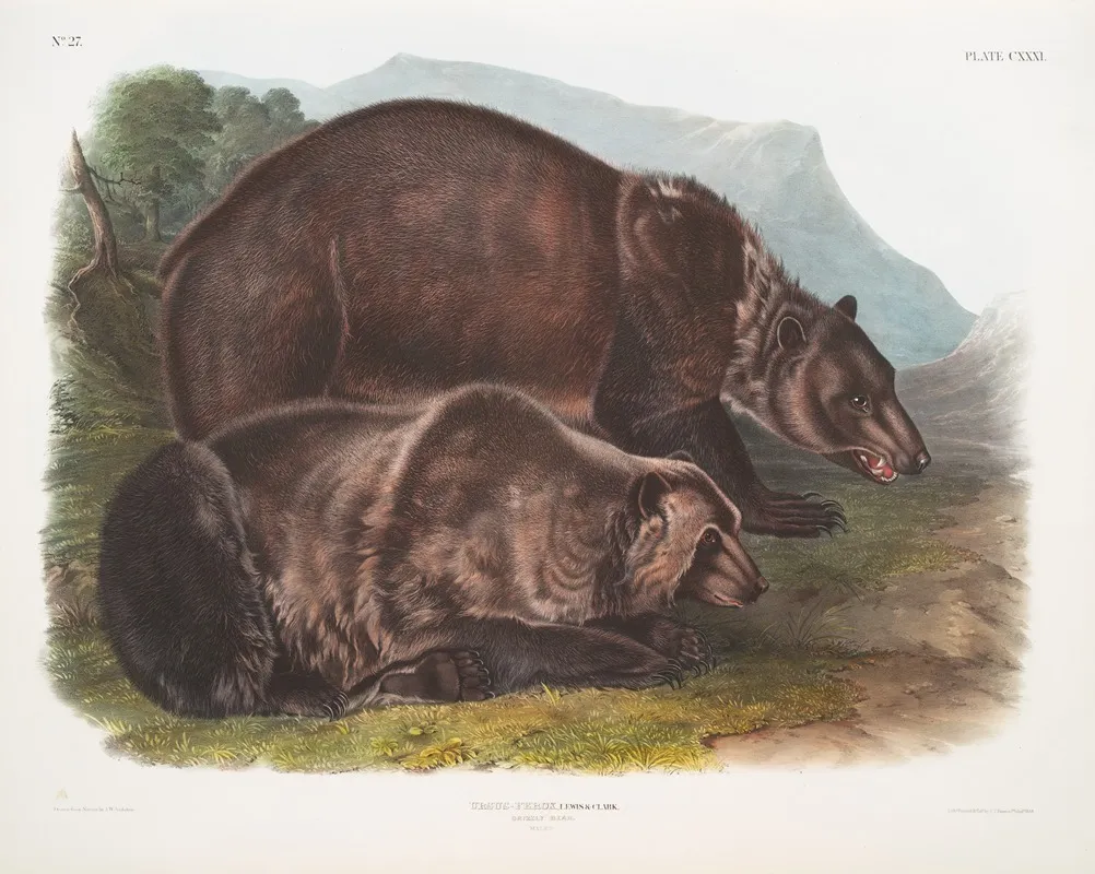 Ursus Ferox Grizzly Bear Males Wall Art by John Woodhouse Audubon - High-Resolution Digital Print