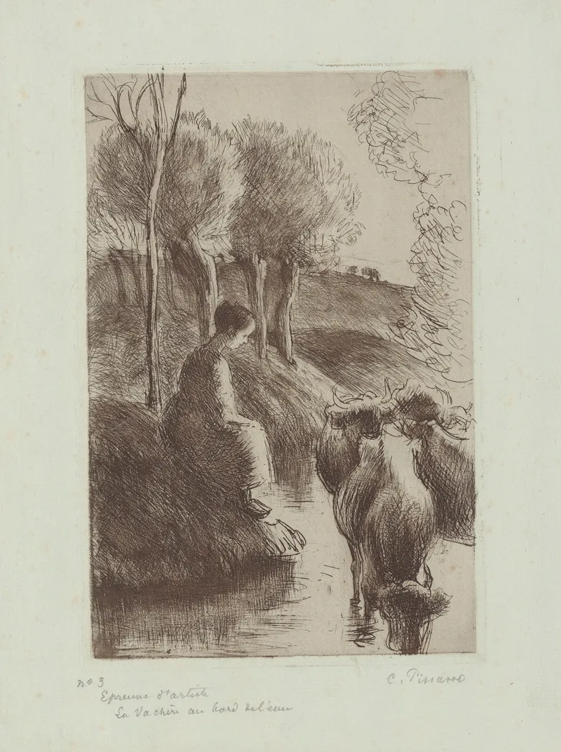 Vachere Au Bord De Leau
