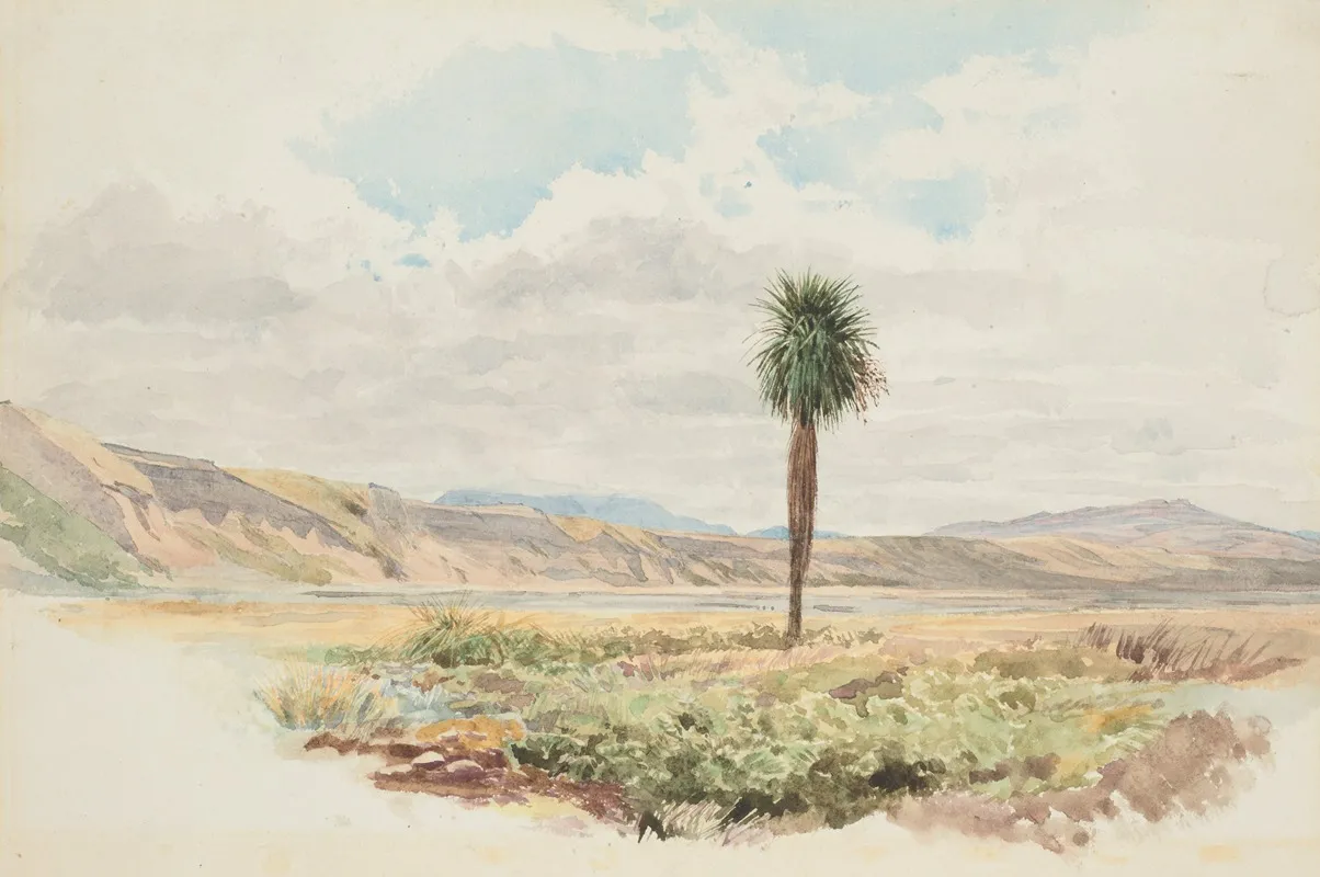Valley Of The Mason Highfield Rim Amuri Nelson