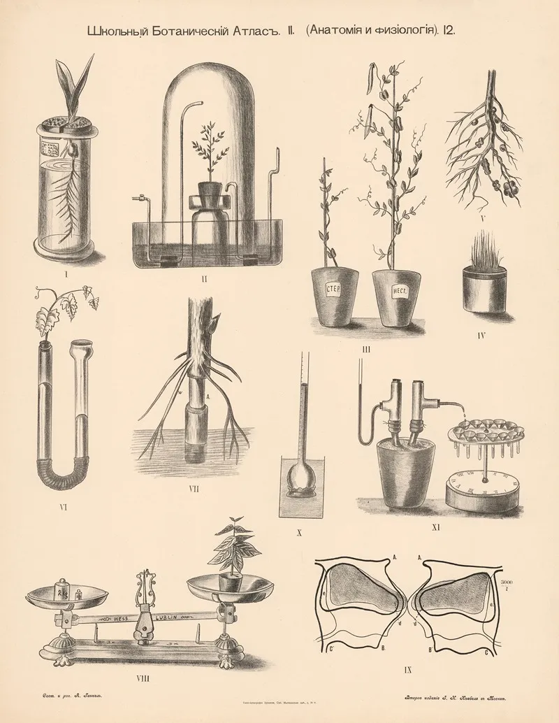 Various Experiments Wall Art by Alexander-Paul Henckel - High-Resolution Digital Print