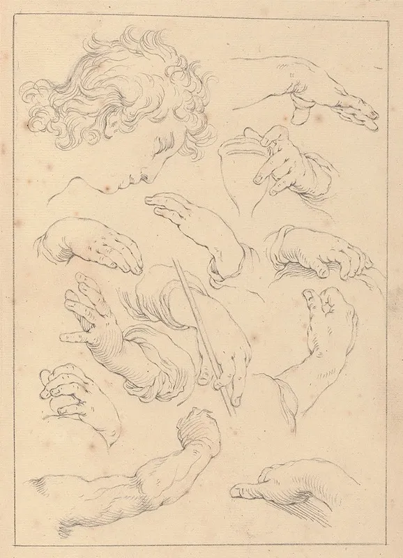 Various Sketches Of Hands Heads And Arms