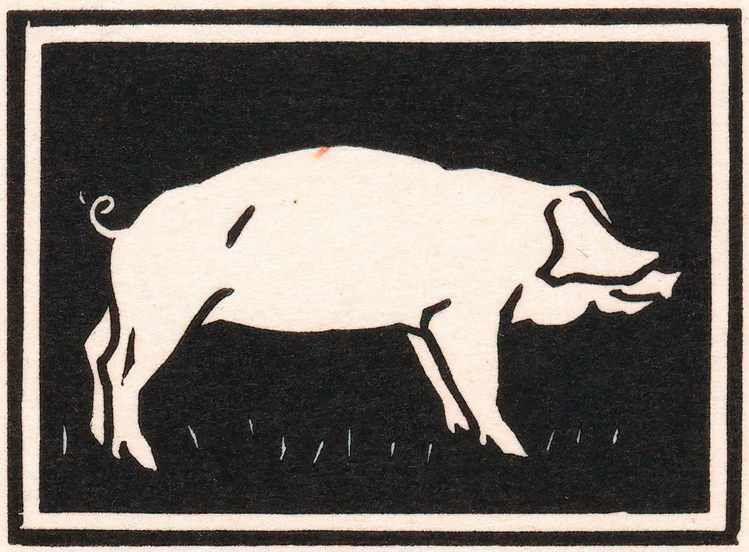 Varken