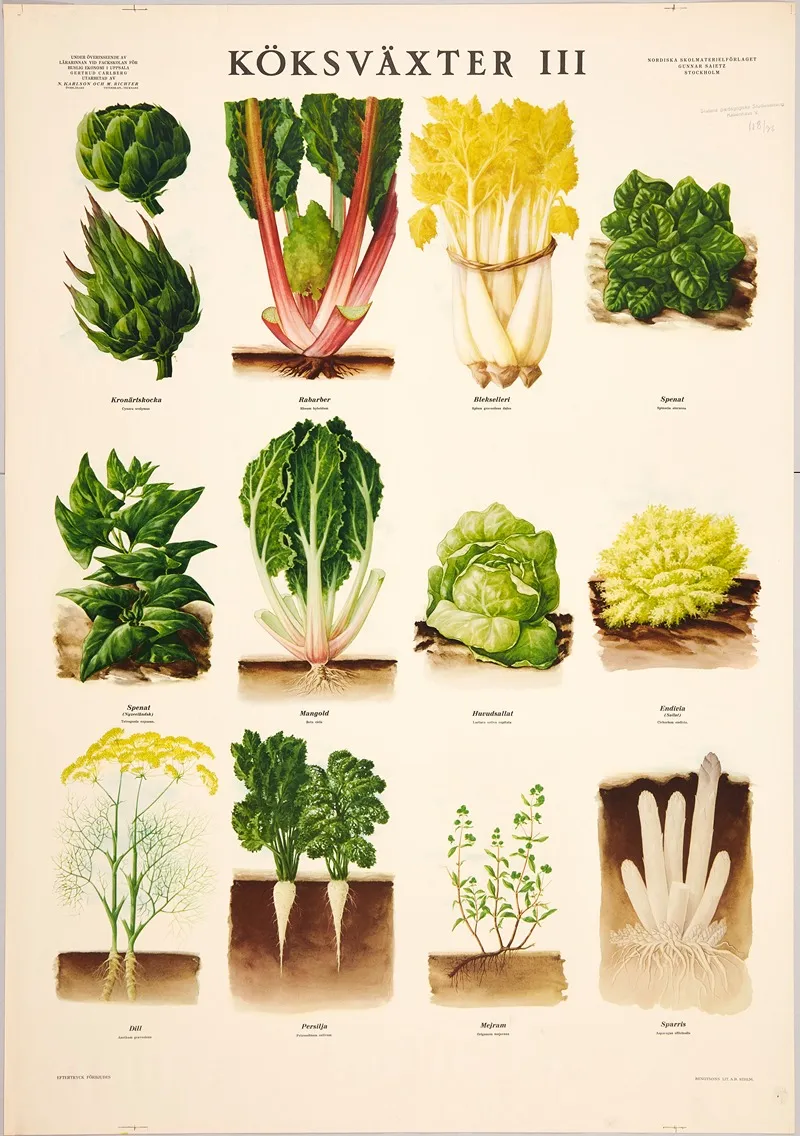 Vegetables Iii Wall Art by Max Richter - High-Resolution Digital Print