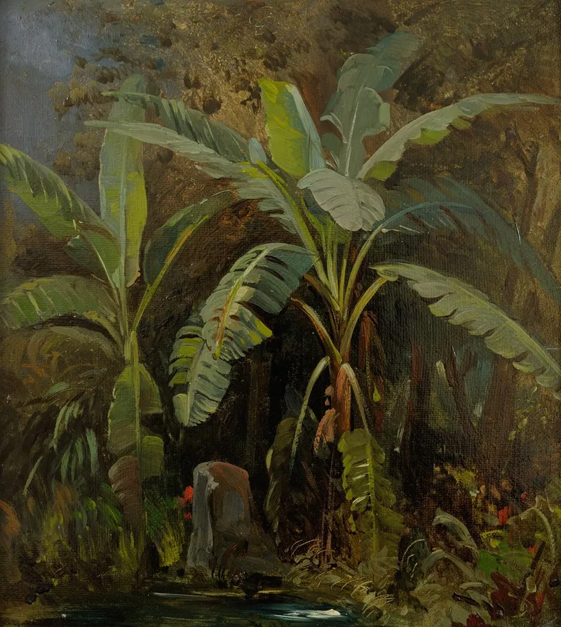 Vegetation In Italy