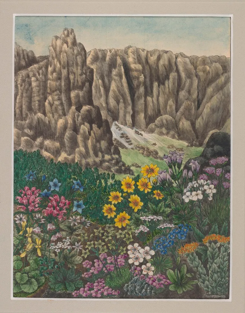 Vegetation Of The Karkonosze Mountains Pl 4