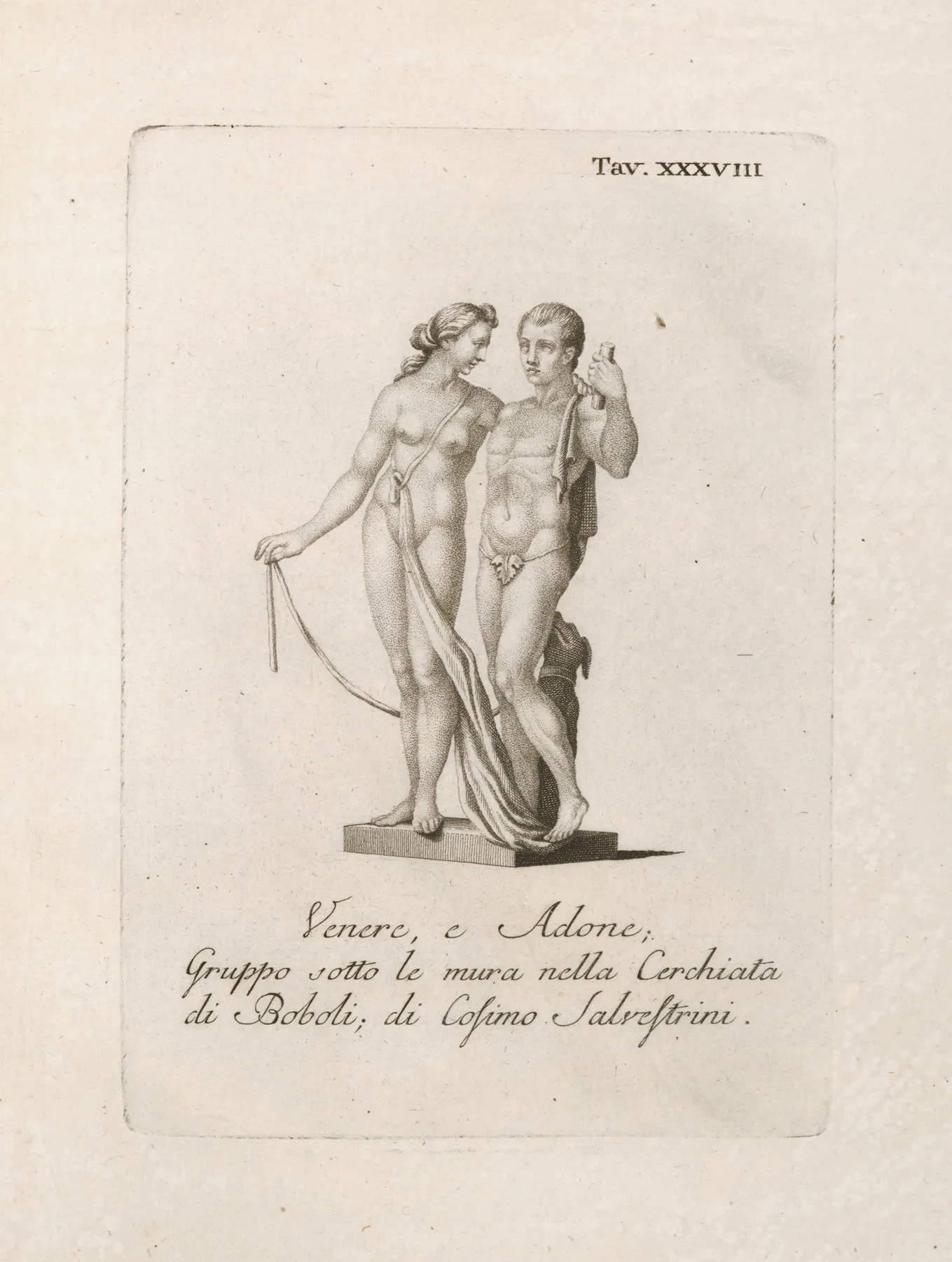 Venere E Adone Gruppo Sotto Le Mura Nella Cerchiata Di Boboli Di Cosimo Salvestrini Wall Art by Gaetano Vascellini - High-Resolution Digital Print