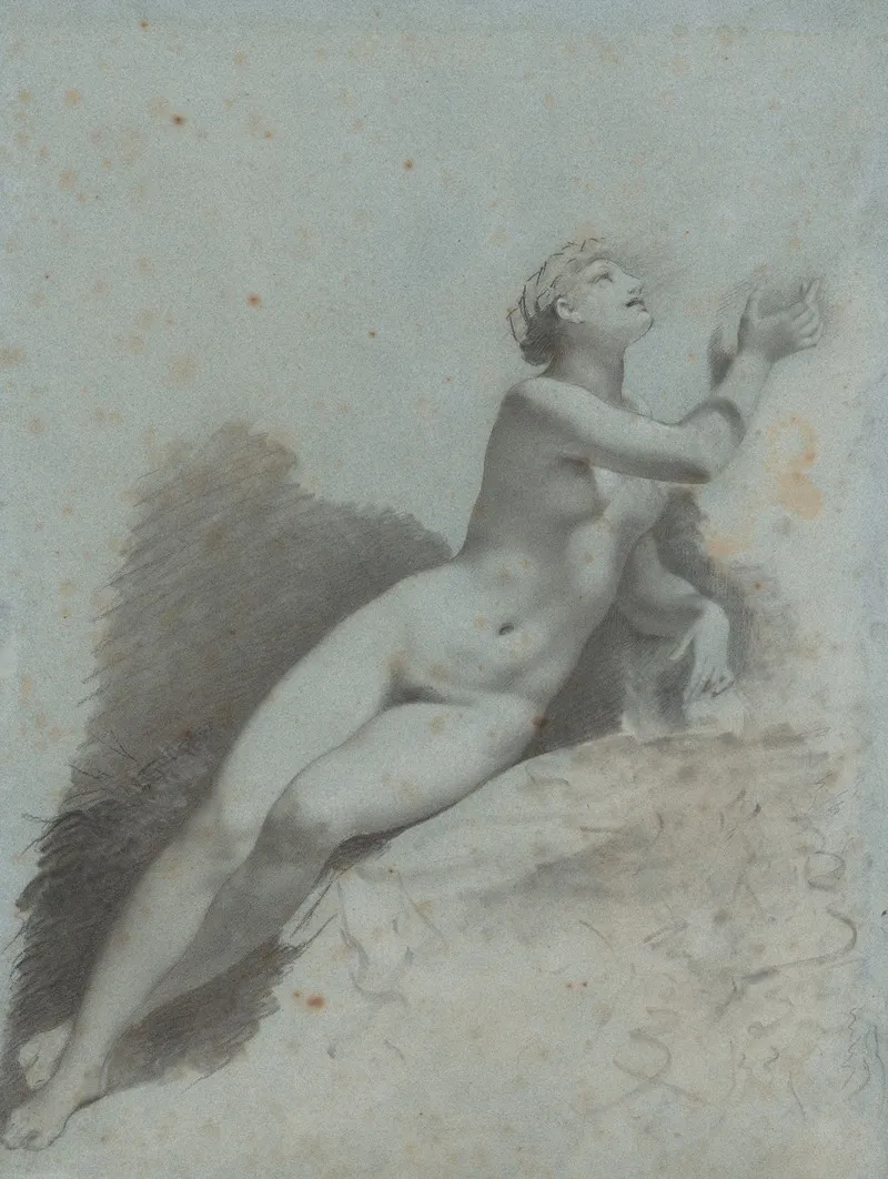 Venus 8