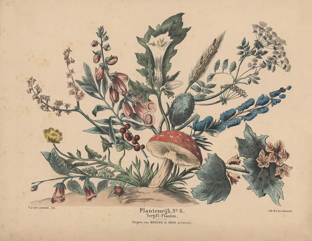Vergift Planten Wall Art by Hendrik Jan van Lummel - High-Resolution Digital Print