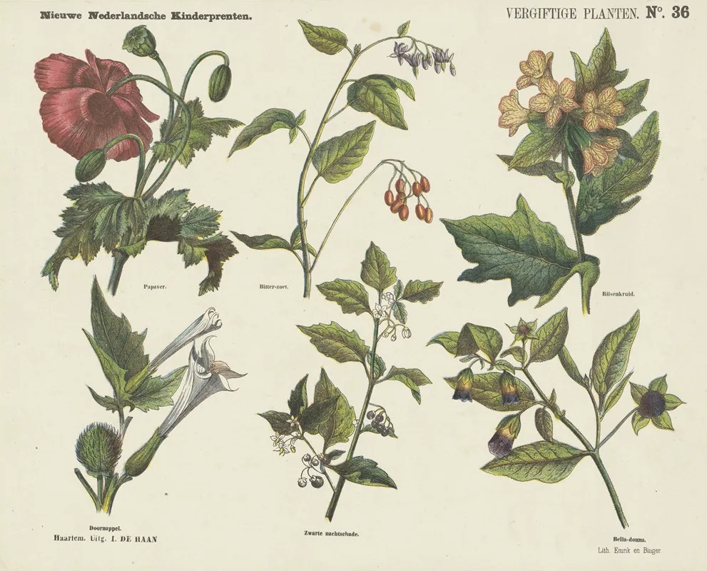 Vergiftige Planten