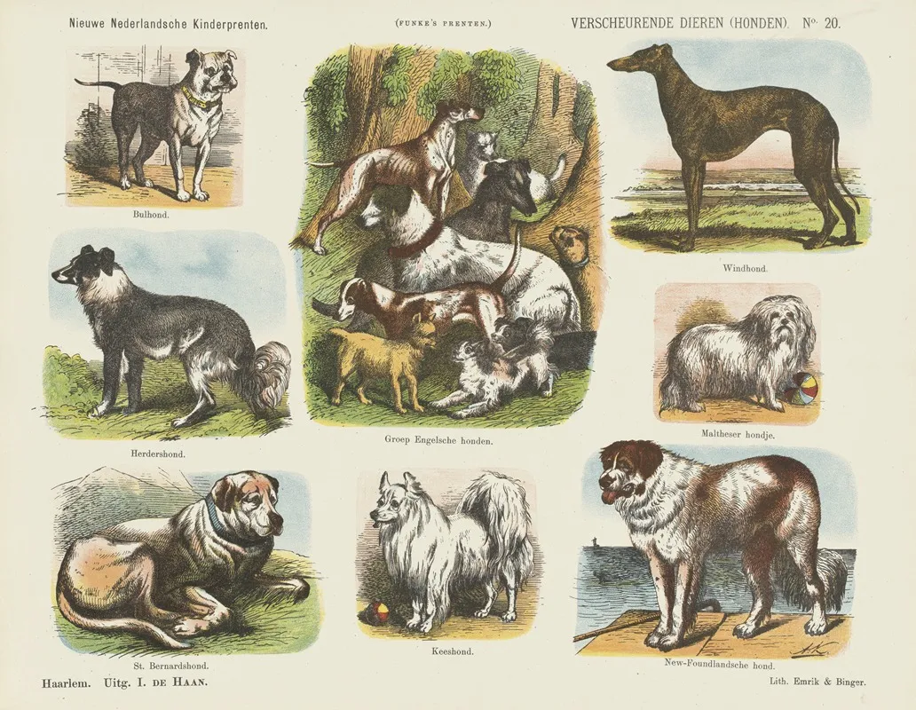 Verscheurende Dieren Honden