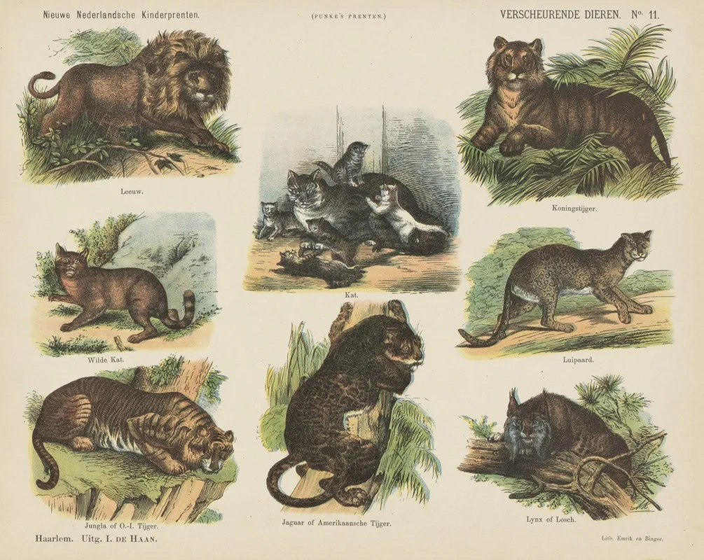 Verscheurende Dieren