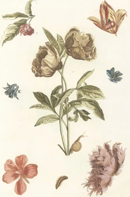 Verschillende Bloemen En Een Rups