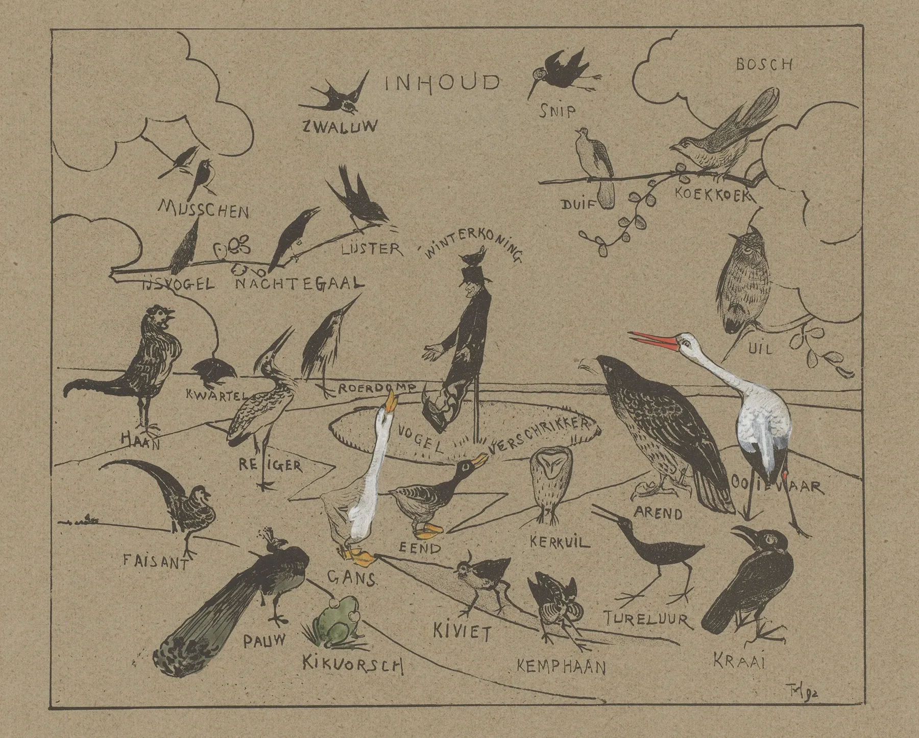 Verschillende Vogelsoorten 2