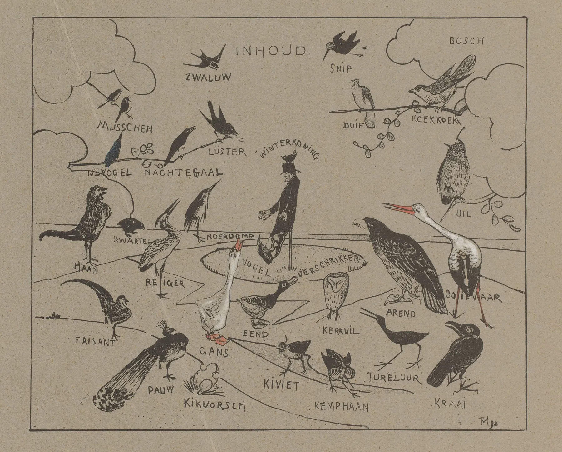 Verschillende Vogelsoorten