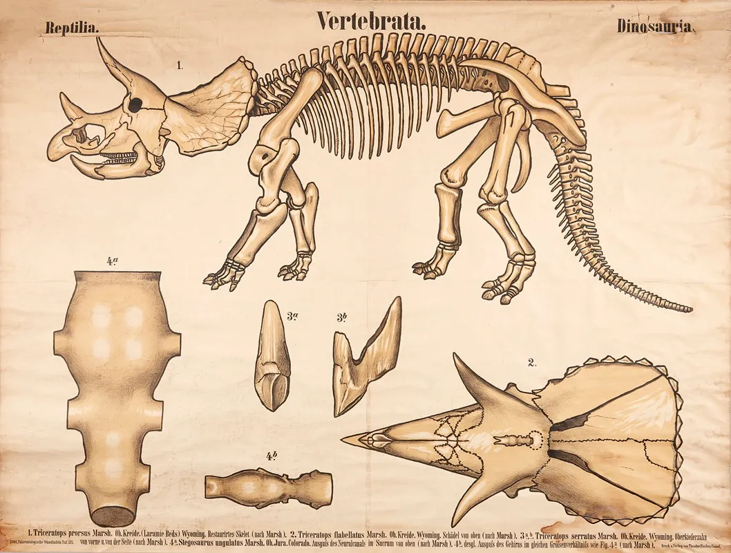 Vertebrates Dinosaurs Wall Art by Karl Alfred Zittel - High-Resolution Digital Print