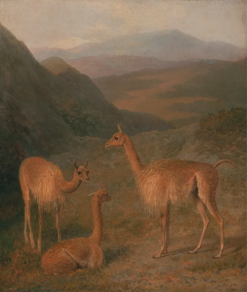 Vicunas Wall Art by Jacques-Laurent Agasse - High-Resolution Digital Print