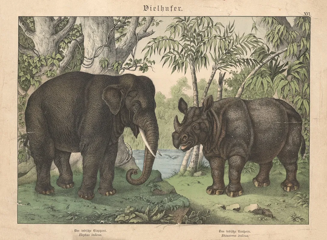Vielhufer A Der Indidsche Elephant B Das Indische Nashorn Wall Art by Gotthilf Heinrich von Schubert - High-Resolution Digital Print