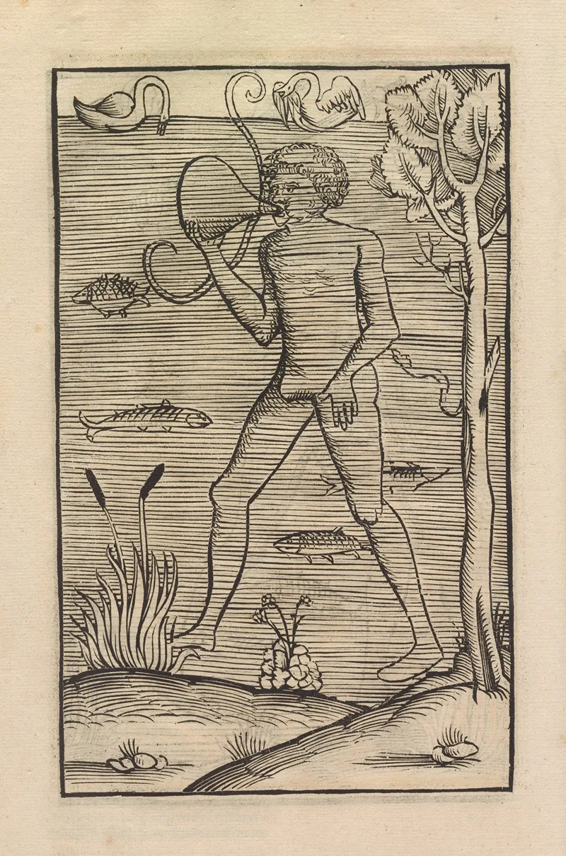 Vier Bucher Der Ritterschafft Pl 082 Wall Art by Flavius Vegetius Renatus - High-Resolution Digital Print
