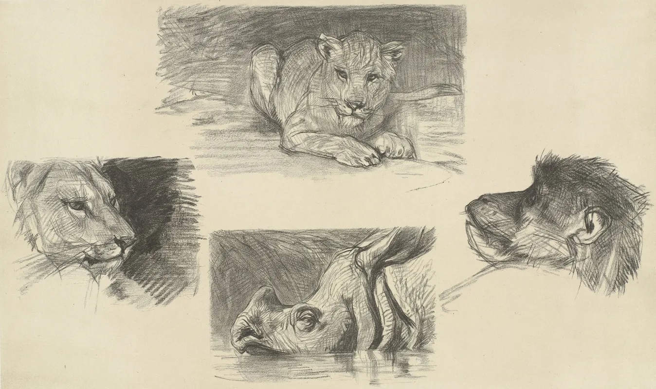 Vier Dieren