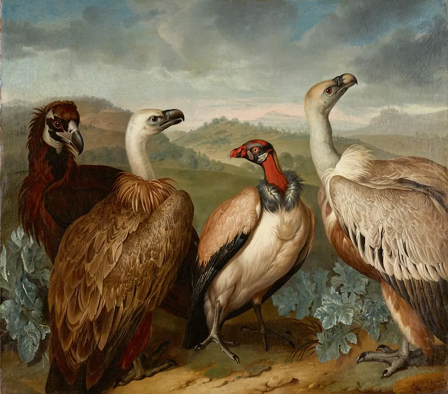 Vier Geier Verschiedener Art Wall Art by Philipp Ferdinand de Hamilton - High-Resolution Digital Print