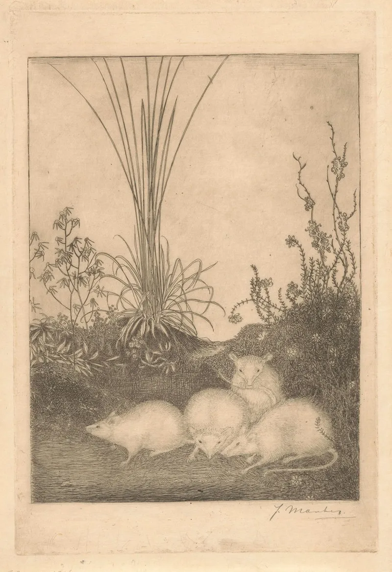 Vier Muizen