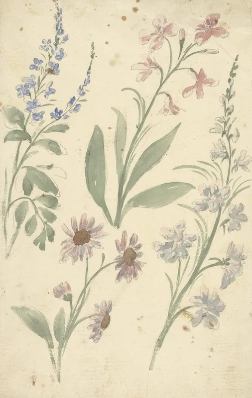 Vier Studies Van Roze En Blauwe Bloemen