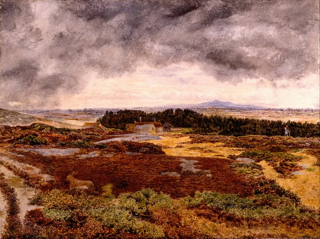 View From Bidston Hill