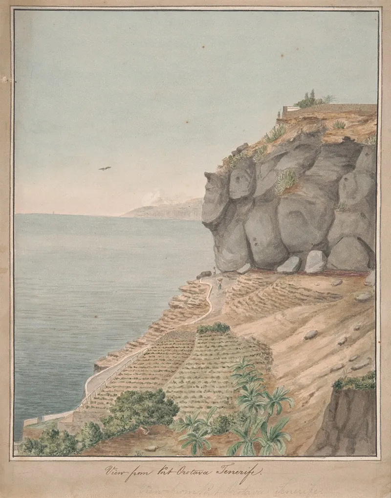 View From Port Orotava Tenerife
