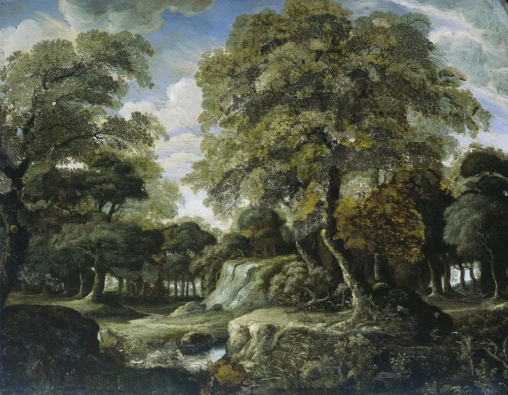 View In The Woods 2