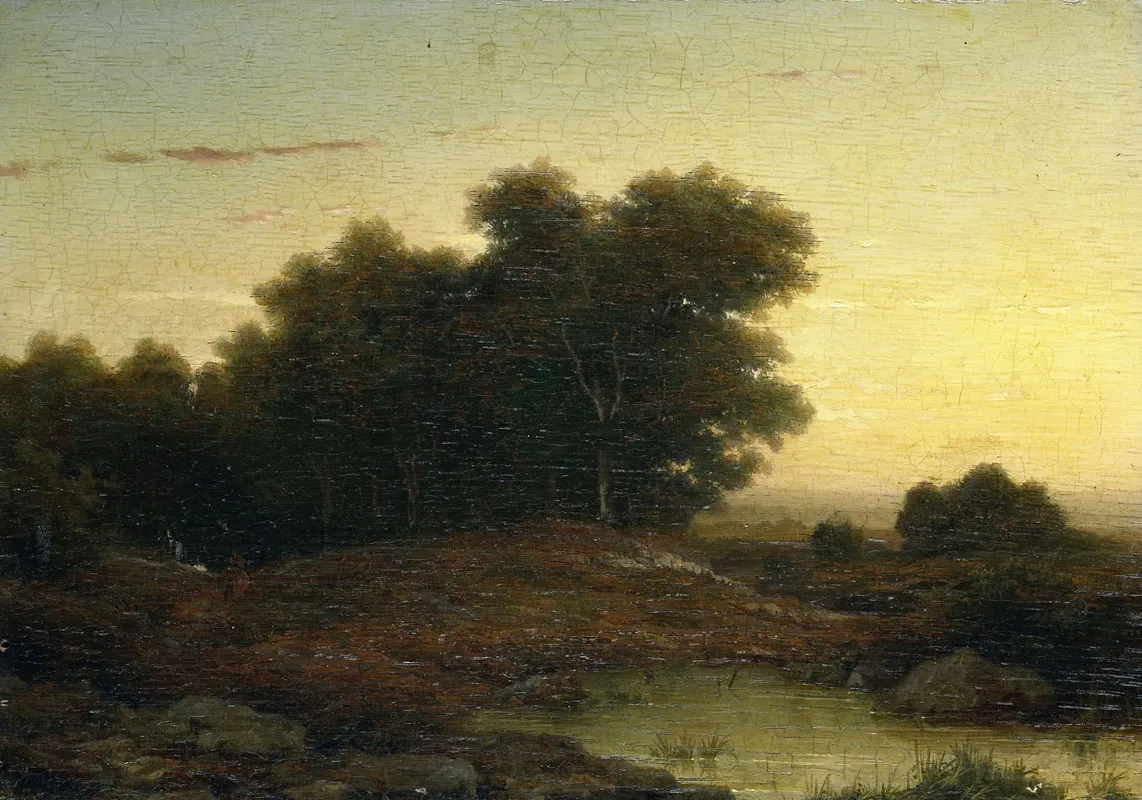 View In The Woods At Sunset Wall Art by Louwrens Hanedoes - High-Resolution Digital Print