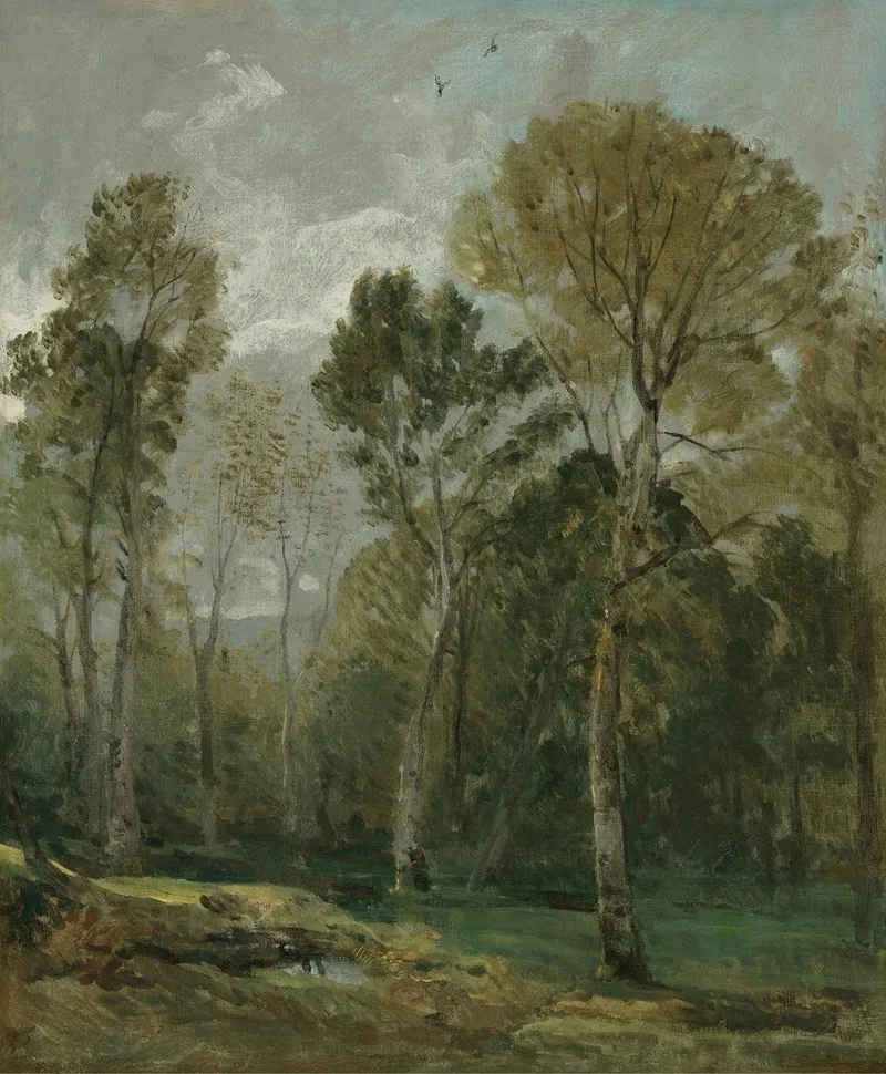 View Of A Copse Wall Art by John Constable - High-Resolution Digital Print