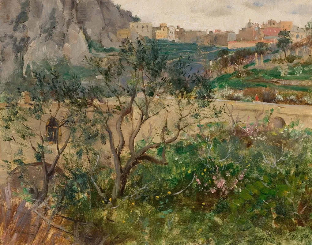 View Of Capri 5