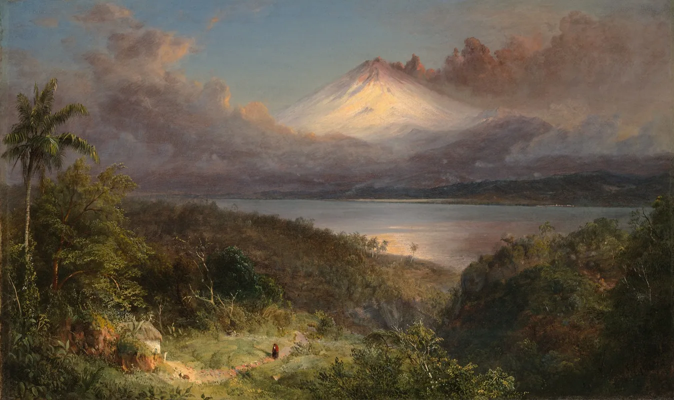 View Of Cotopaxi 2