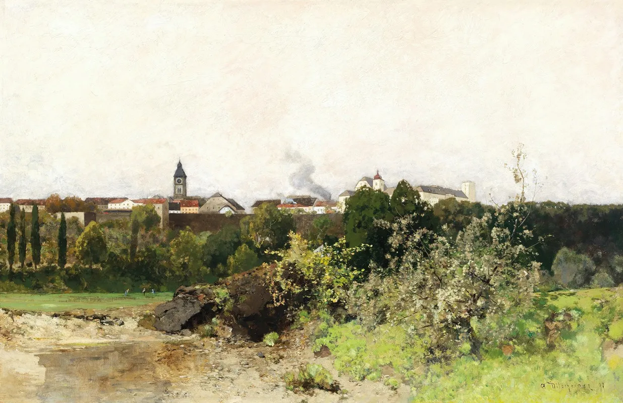 View Of Enns On The Danube Wall Art by Adolf Ditscheiner - High-Resolution Digital Print