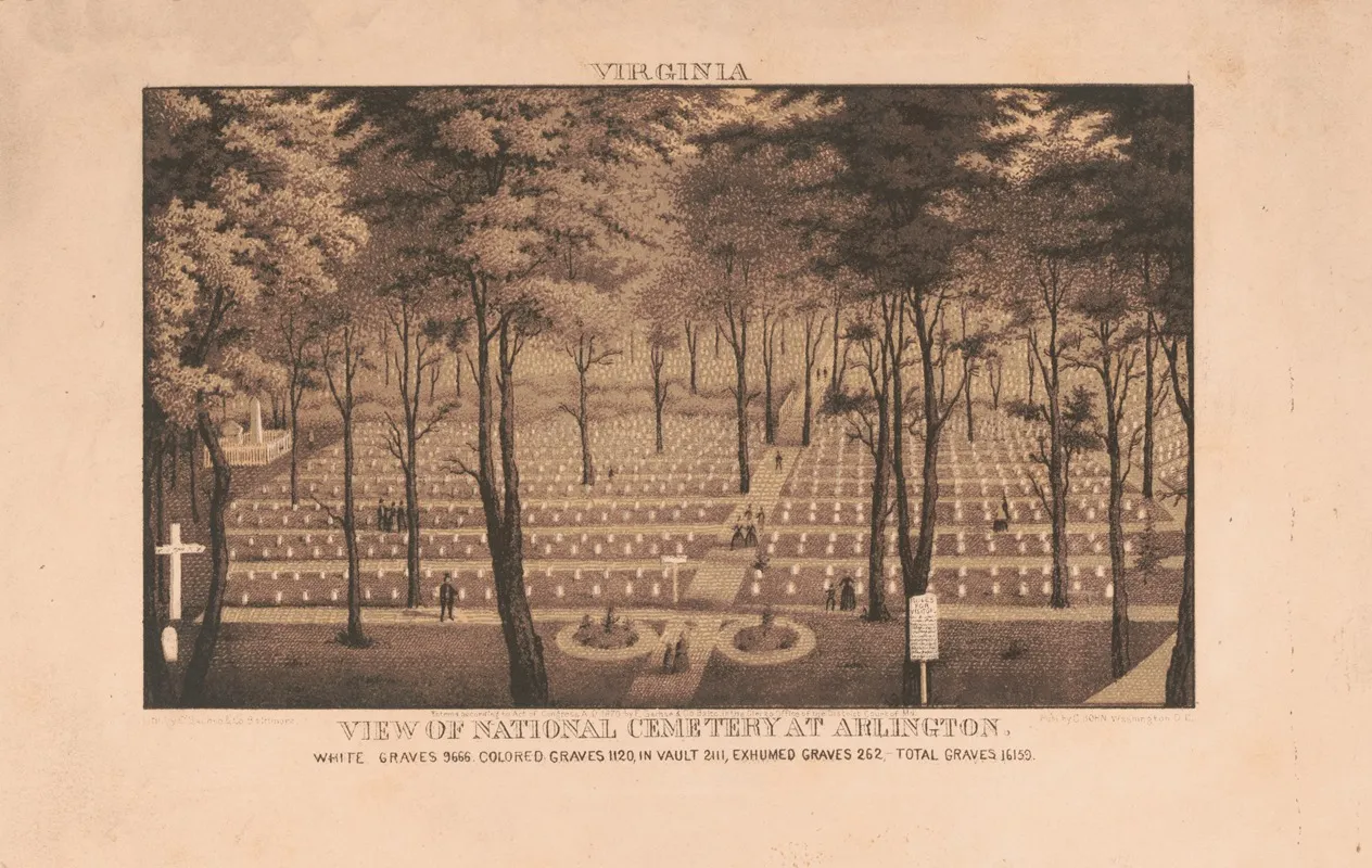 View Of National Cemetery At Arlington
