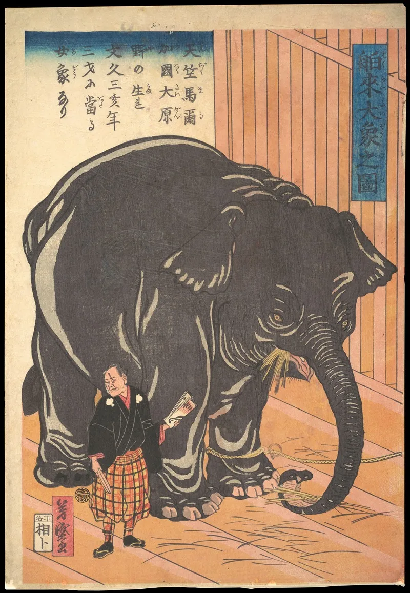View Of The Large Imported Elephant