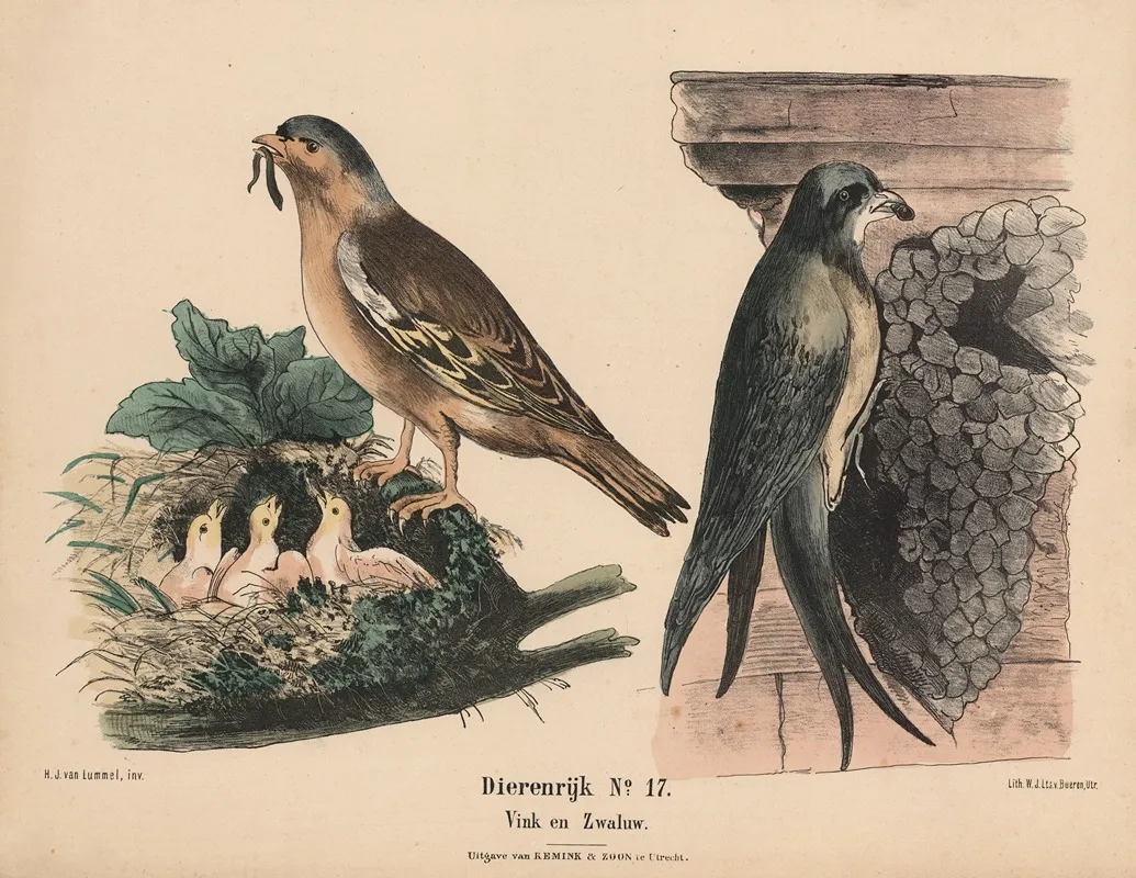 Vink En Zwaluw Wall Art by Hendrik Jan van Lummel - High-Resolution Digital Print