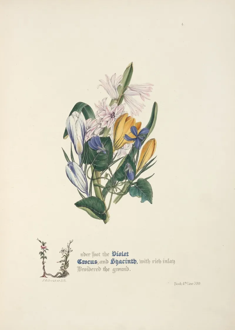 Violet Crocus And Hyacinth Wall Art by Jane Elizabeth Giraud - High-Resolution Digital Print
