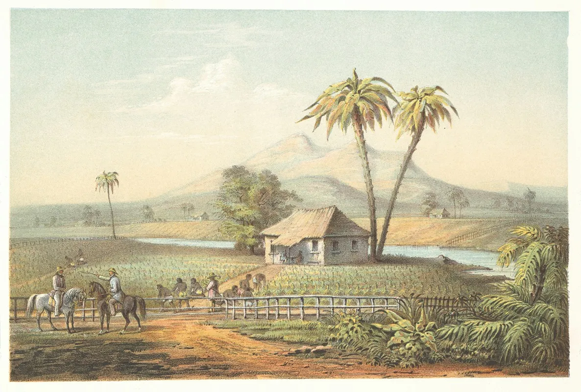 Vista De Una Vega De Tabaco Wall Art by Pierre Toussaint Frédéric Mialhe - High-Resolution Digital Print