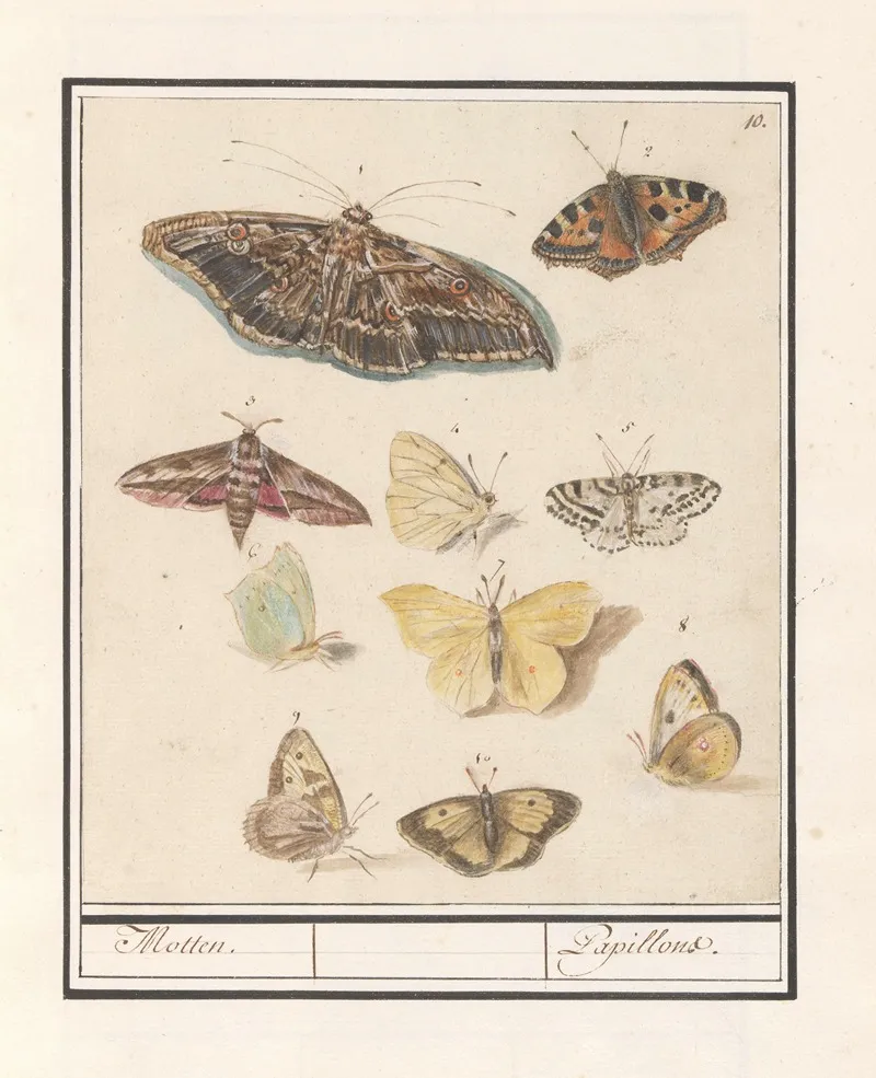 Vlinders En Motten Motten Papillons Wall Art by Anselmus Boëtius de Boodt - High-Resolution Digital Print