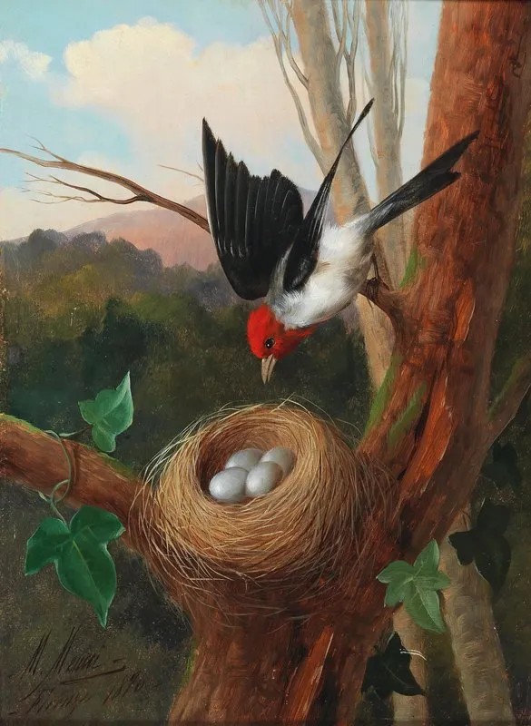 Vogel Bei Seinem Nest Wall Art by Michelangelo Meucci - High-Resolution Digital Print