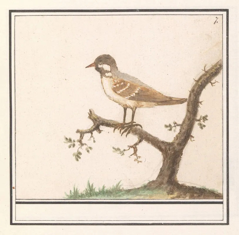Vogel Onbekend 2 Wall Art by Anselmus Boëtius de Boodt - High-Resolution Digital Print