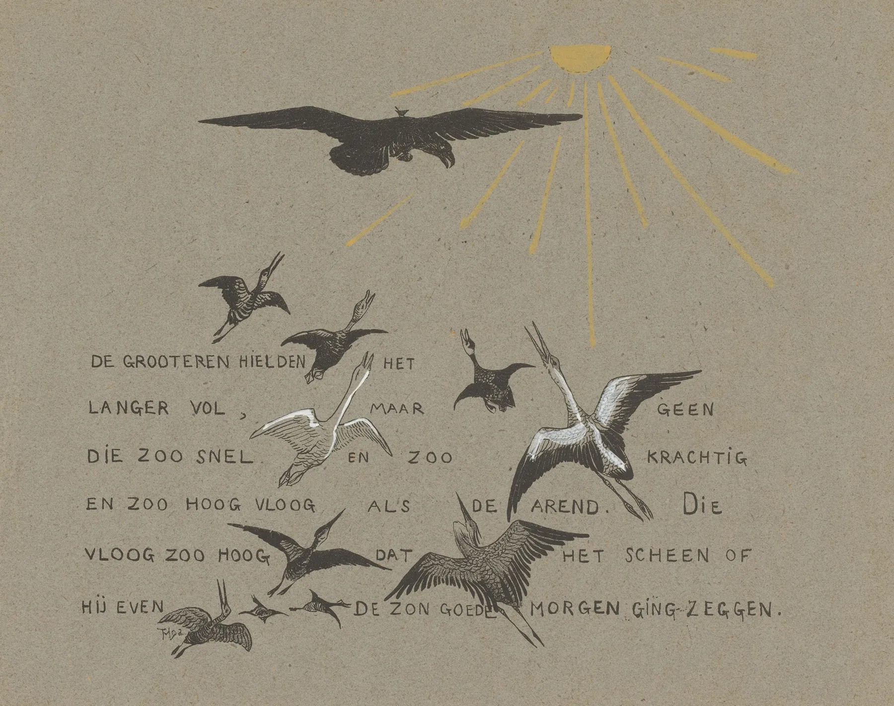 Vogels Vliegen Naar De Zon
