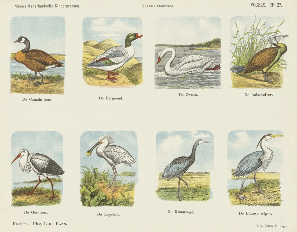 Vogels