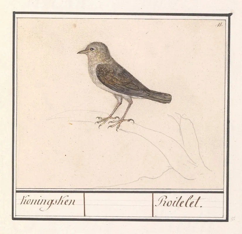 Vogeltje Mogelijk Een Winterkoninkje Troglodytes Troglodytes 2 Wall Art by Anselmus Boëtius de Boodt - High-Resolution Digital Print