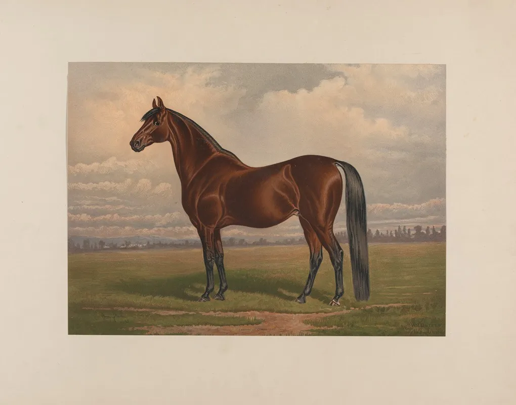 Volunteer The Greatest Living Trotting Sire